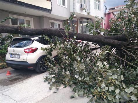 Kocaeli'de park halindeki 5 araca zarar verildi