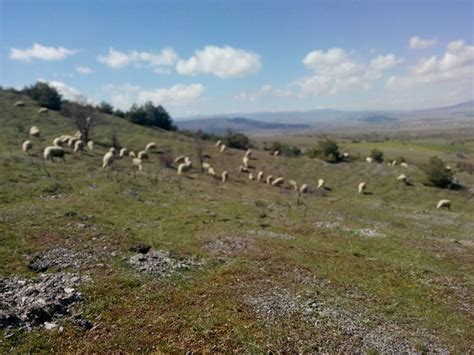 Kocgazi Halı ve Koltuk Yıkama