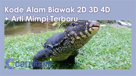 Kode Alam 4D Biawak