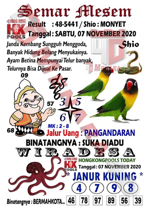 Kode alam burung perkutut togel. Syair hk 13 november.