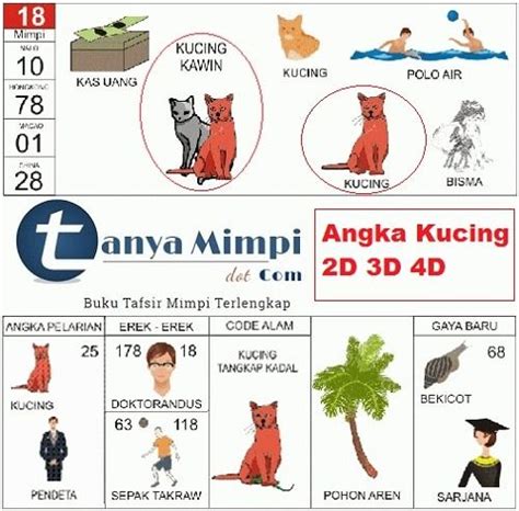 Kode alam kucing kawin togel. Data hk live malam ini. Bo deposit pulsa.