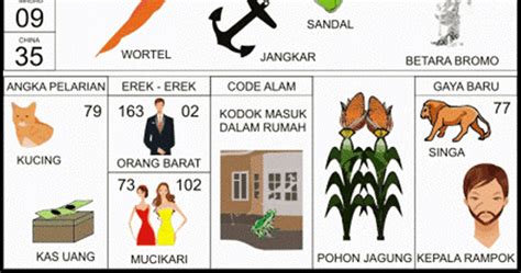 Kode alam lalat kawin togel. Data hk live hari ini. Bandar qiu qiu higgs.