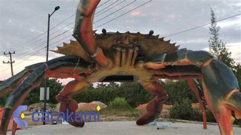 Kode alam melihat kepiting togel. Agar bisa menang main.
