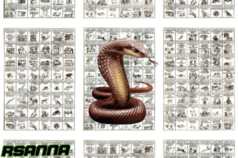 Kode alam mimpi basah togel. Kode alam ular kobra.