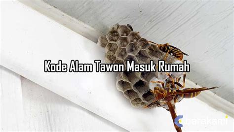 Kode alam tawon masuk rumah togel. Hari ini langsung dari.