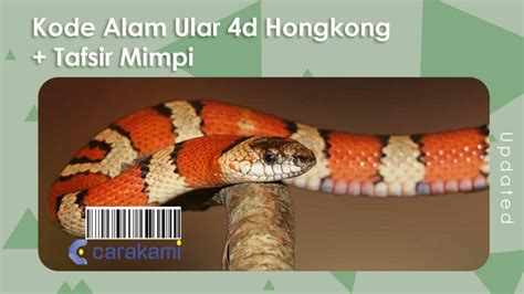 Kode alam ular 4d hongkong. Bonus deposit togel new member.