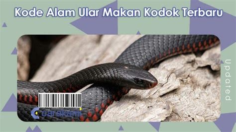 Kode alam ular makan kodok. Link slot mudah menang dan terpercaya.