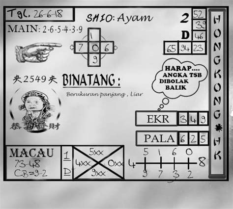 Kode kuda hitam togel hari ini. Cara melihat pola slot.