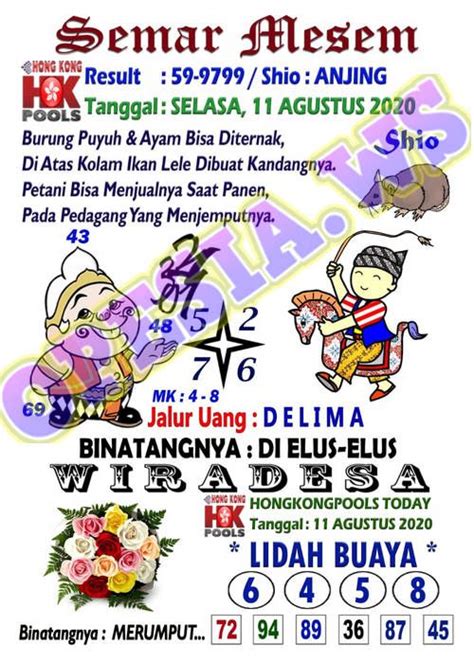 Kode togel hongkong malam ini tagal 5 hari.