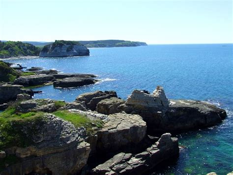 Kogukkaya Halı ve Koltuk Yıkama