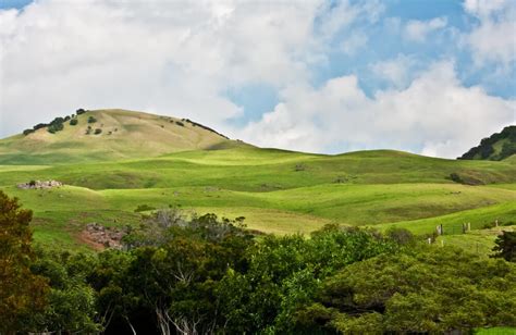 Kohala Home Health Care at Queen’s North Hawai‘i Community …