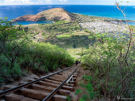 Koko head honolulu hi. Koko Head is a breathtaking tuff cone perched on the eastern side of Maunalua Bay in Hawaii. Nestled within the community of Portlock and surrounded by the Honolulu Volcanics, this geological marvel stands tall at 642 ft (196 m). Its impressive landscape boasts three significant depressions, including the iconic Hanauma Bay. 