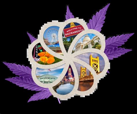 Kolas&aring;s Utan Gr&auml;dde Recept: Enkel - SwedEats