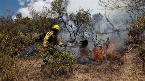 Kolombiya'da günlerdir süren orman yangınları kontrol altına alınamadı - Anadolu Ajansı