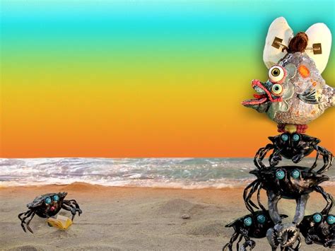 Kombina Halı ve Koltuk Yıkama