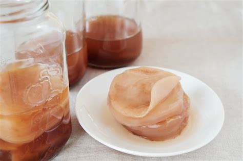 Kombucha Onlyfans Leak
