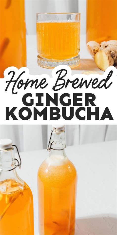 Kombucha recipe nz. .  <a href=https://crm.santekhstore.ru:443/fqwrdx/recent-new...