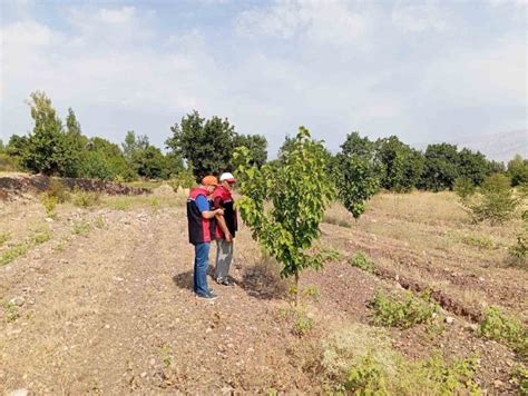 Konakbasi Halı ve Koltuk Yıkama
