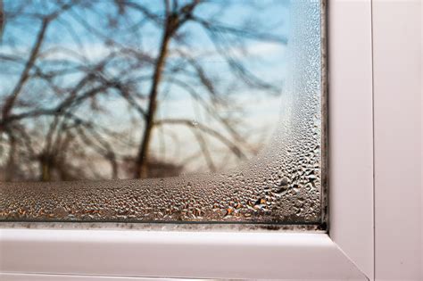 Kondenswasser am fenster trotz stoßlüften