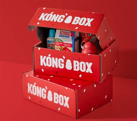 Kong Puppy Box