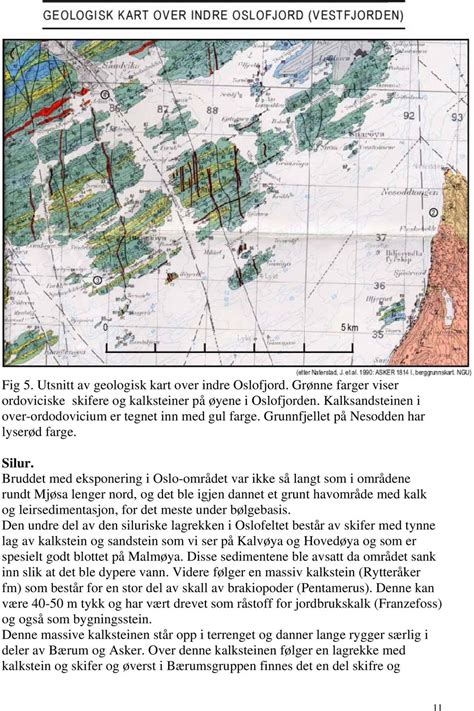 Kongsfjell områdets geologi, en petrografisk og strukturell undersøkelse i helgeland, nord norge. - Johnson evinrude 1 5hp 35hp outboard workshop manual 65 78.