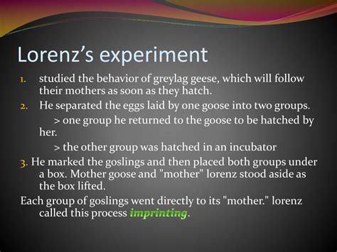 Konrad lorenz theory