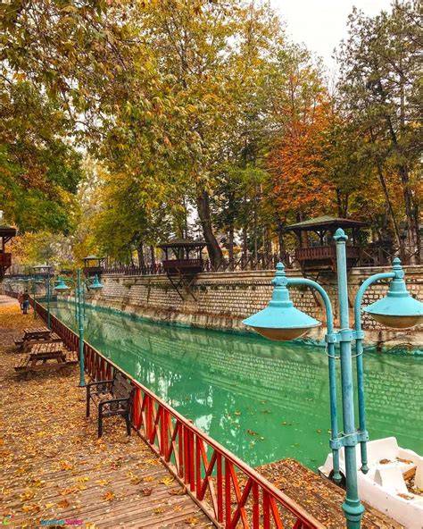 Konya Meram terapi halı yıkama