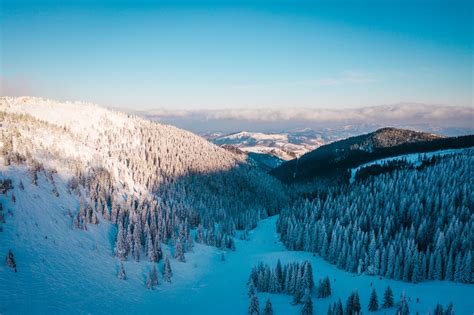 Kopaonik planine. .  ...