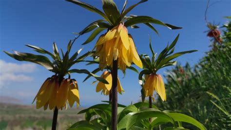 Koparanlar Halı ve Koltuk Yıkama