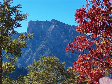 Korcoban Halı ve Koltuk Yıkama