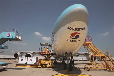 Korean cargo. Things To Know About Korean cargo. 