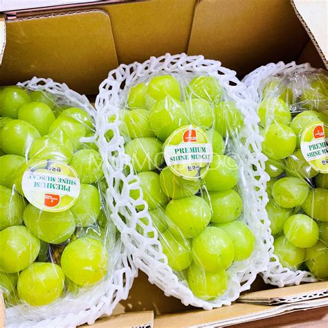 Korean grapes. K-grape began as a leading organization for exporting grapes in October 2017, and in 2019 of May was selected as an export integrated organization by the Ministry of Agriculture, Food and Rural Affairs and re-established itself as Korea Grape Export Association. ... We are a professional company leading the export of Korean grapes and promoting ... 