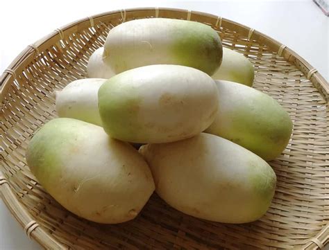 Korean radish. 1. Daikon Long White. This variety of daikon radish is a type of winter radish known for its mild flavor and long, white, cylindrical root, which can grow up to 18 inches (46 cm) in length. Though ... 