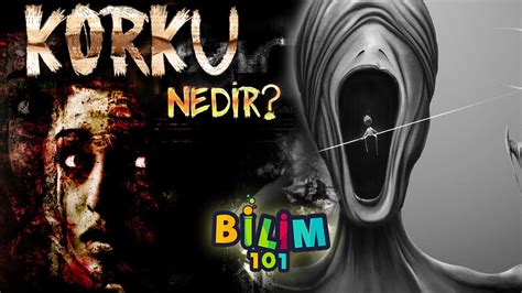 Korku Nedir. 