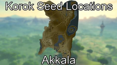 Korok seeds akkala. Nov 20, 2020 · Korok Seed #4. From the inside of the Akkala Citadel, walk out in the courtyard and nab the pinwheel Korok from within the cannons. advertisement. Korok Seed #5. 