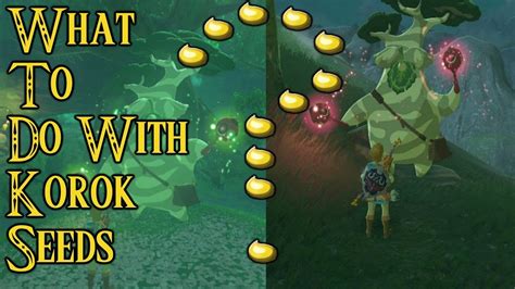 Korok seeds breath of the wild. There are 900 Korok Seeds in The Legend of Zelda: Breath of the Wild, though players only need 441 of them in order to fully upgrade their inventories. While fans will undoubtedly encounter many ... 