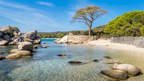 veodersti.rgarabwor.edu.pl. 