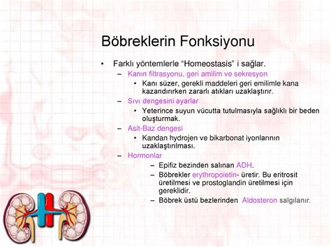 Kortikosteroid sınıfında yer alır ve böbrek üstü bezlerinden salgılanır.