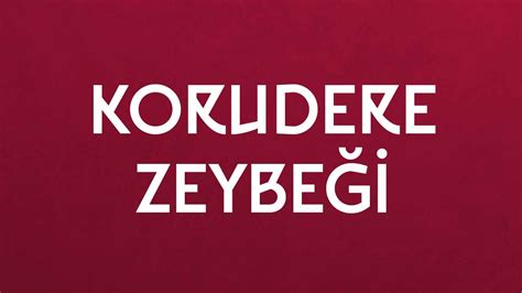 Korudere Halı ve Koltuk Yıkama