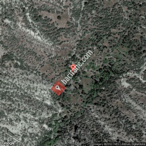 Koruklukaya Halı ve Koltuk Yıkama