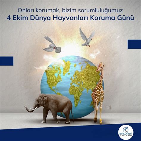 Koruma Halı ve Koltuk Yıkama