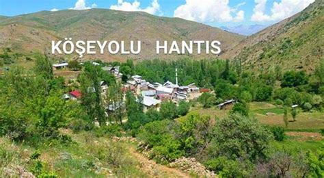 Koseyolu Halı ve Koltuk Yıkama