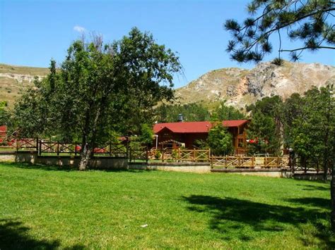 Koyunkaya Halı ve Koltuk Yıkama