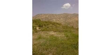 Koyunoren Halı ve Koltuk Yıkama