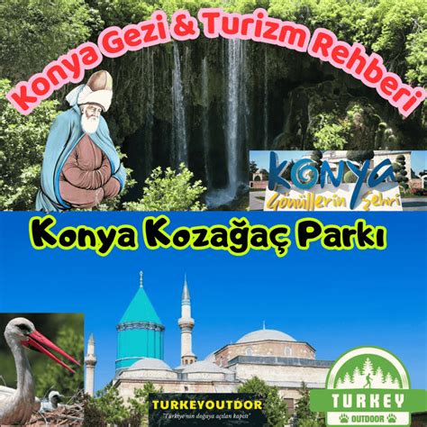 Kozagac Halı ve Koltuk Yıkama