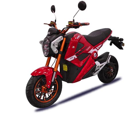 codini.rgarabwor.edu.pl. 