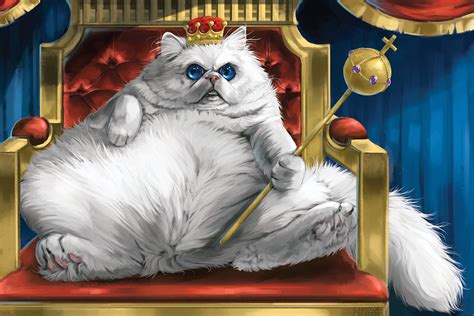 Kral kedi