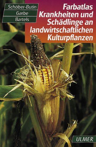 Krankheiten und schädlinge der kulturpflanzen und ihre bekämpfung. - Honda cb900f hornet 2002 03 service manual.