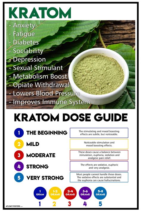Kratom Drug Interactions Chart