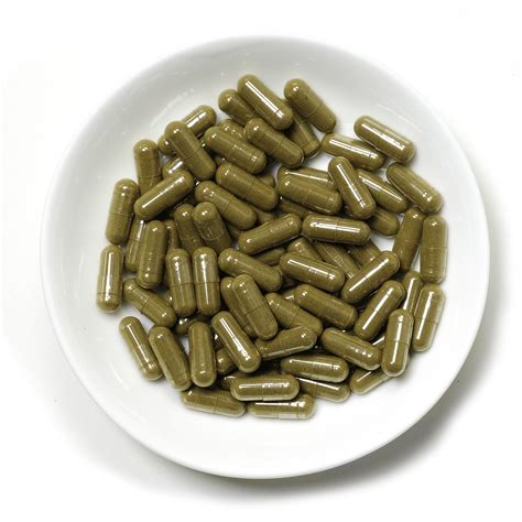 Our Kratom Extract Shots are the epitome of what Kratom can offer, and we’re proud to bring them directly to your doorstep. Experience the Harvest Kratom Difference: Step into a world where quality, trust, and customer satisfaction converge. Buy Kratom online with us, and let Harvest Kratom’s – Kratom Extract Shots redefine your wellness ...